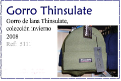 Gorro Thinsulate