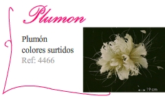 PLumon para bodas - Kakicomplementos